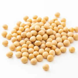 Soybean